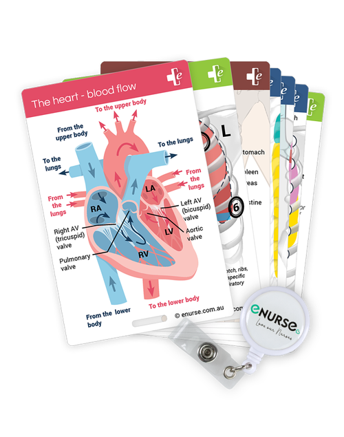 eNurse Assessment Card Value Pack + Clip