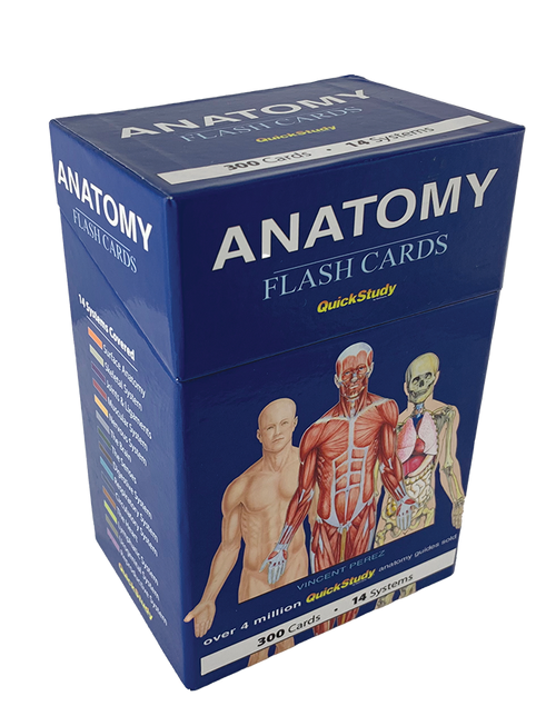 QuickStudy (Flashcards) - Anatomy